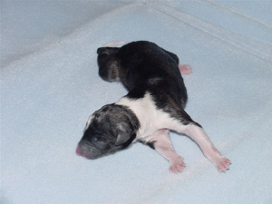 1daiquiris28feb2004.jpg