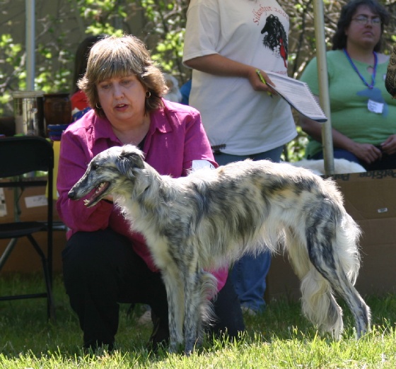 Hillevi_silkenfest2006.jpg