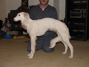 chiana1.jpg