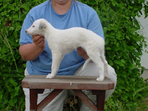 chiana7weeks.jpg