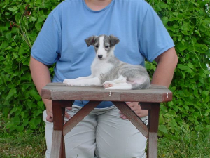 shaningo7weeks.jpg