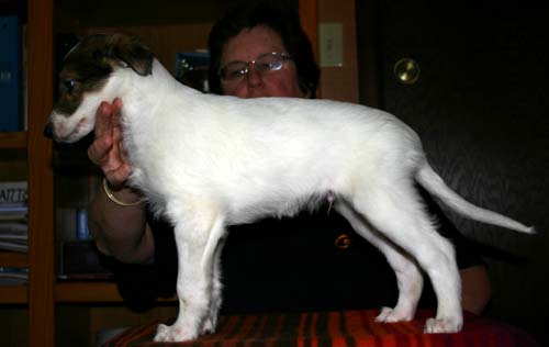 2011_pups/EBwithDuke.jpg