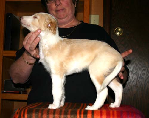 2011_pups/EBwithSky.jpg