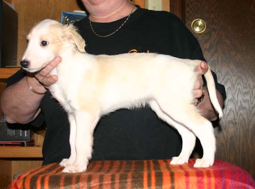 2011_pups/EBwithSlick.jpg