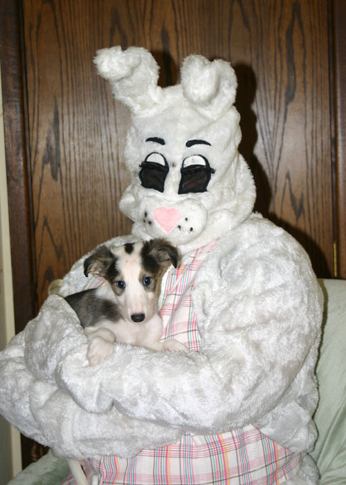 2011_pups/EBwithCloud.jpg