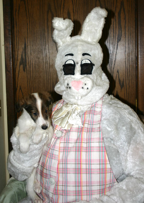 2011_pups/EBwithDuke.jpg