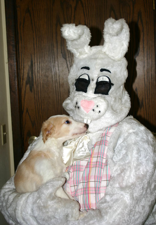 2011_pups/EBwithSky.jpg