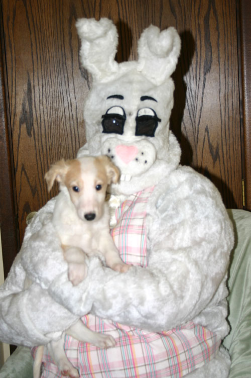 2011_pups/EBwithSlick.jpg