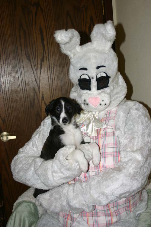 2011_pups/EBwithVesper.jpg