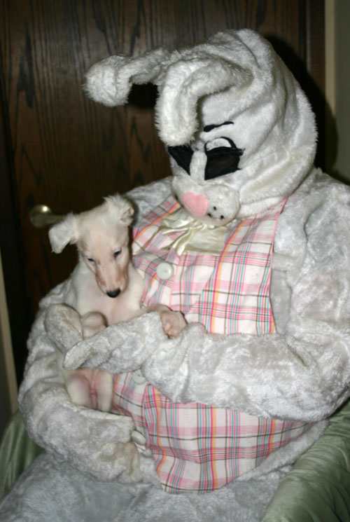2011_pups/EBwithZeus.jpg