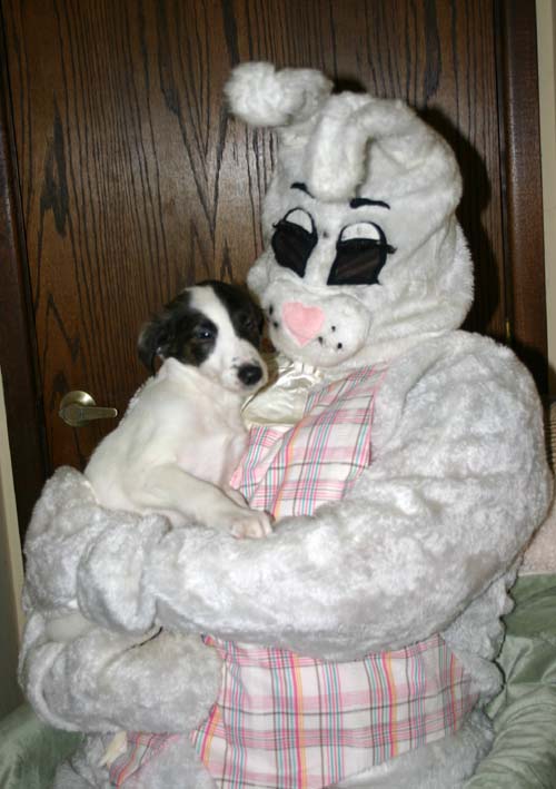 2011_pups/IMG_8991.jpg