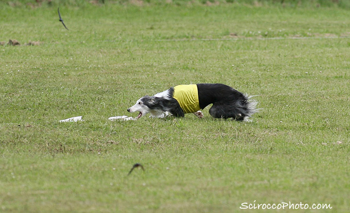 Apache/NWFest2010_024.jpg
