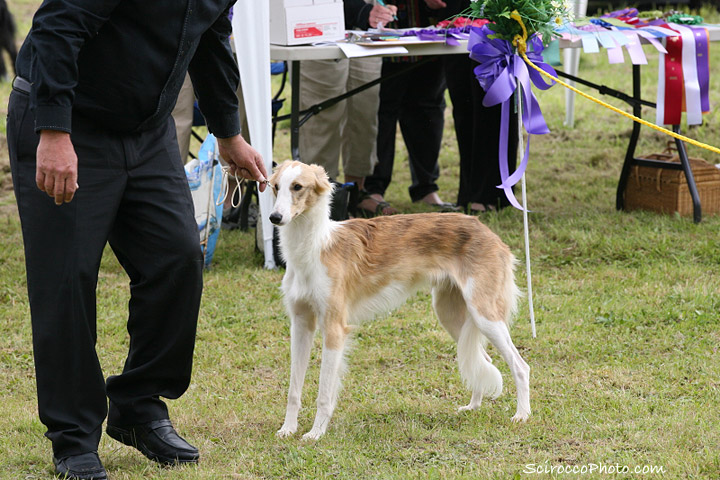 Belize/NWFest2010_belize_show.jpg