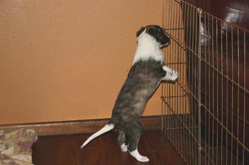 HilleviXNike2013/Week5Shelby2.jpg
