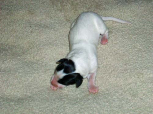 MorganXKamiah2012/1dayold009.jpg