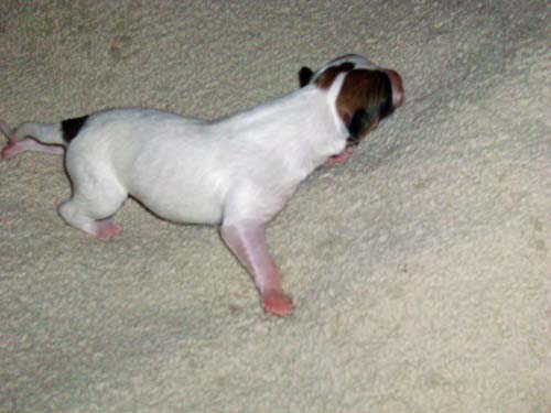 MorganXKamiah2012/1dayold009.jpg
