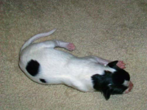 MorganXKamiah2012/1dayold009.jpg