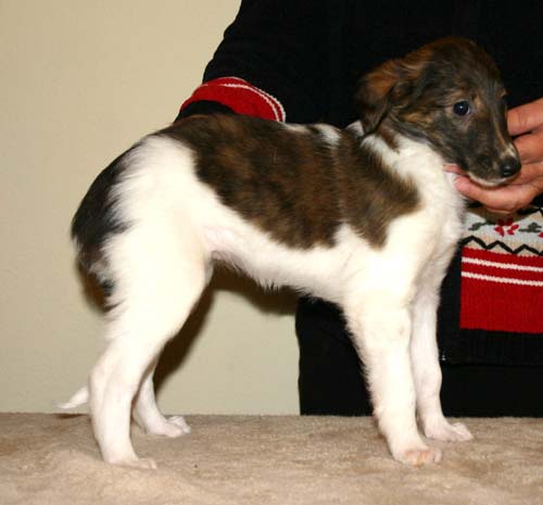 Philotima001.jpg