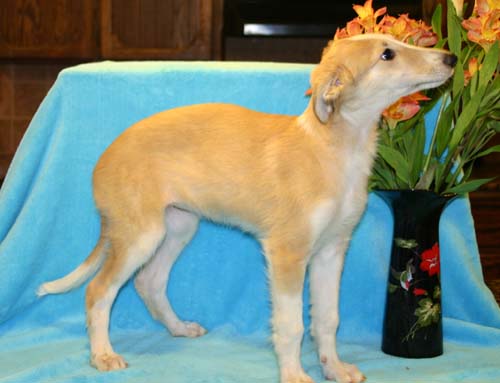 Rika_2_6_22001.jpg