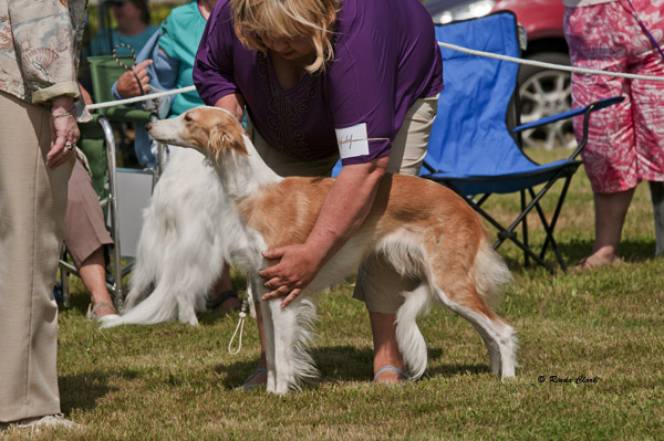 Sky/NWFEST2013July12-3467pks.jpg