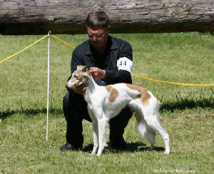 Temora/NWFest2010_Temora_show.jpg