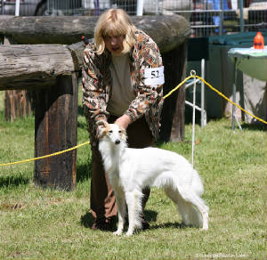 Tootsie/NWFest2010_tootsie_side.jpg
