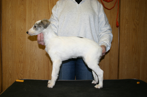 alfie8weeks.jpg