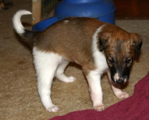 boy2_020001.jpg
