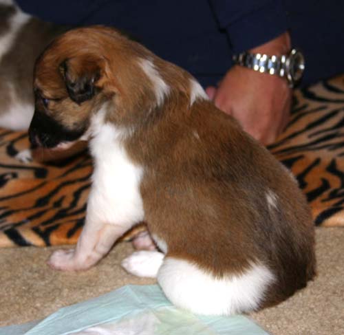 boy2_040001.jpg