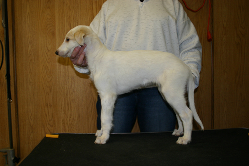 casan8weeks.jpg