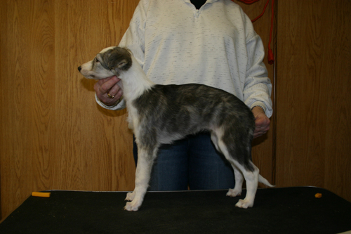 cleo8weeks.jpg