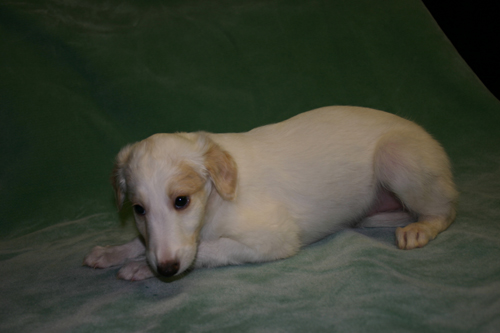 img_4090.jpg