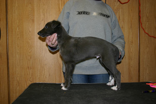 mojito8weeks.jpg